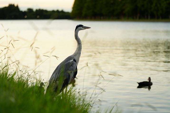 7 IVAFE 70-200mm F4 Macro G OSS IIA94mmAF4A1/40bAISO800A+1.3EVAzCgoXFAANGCeBubNFSTBeʐ^i7008×4672A15.9MBj