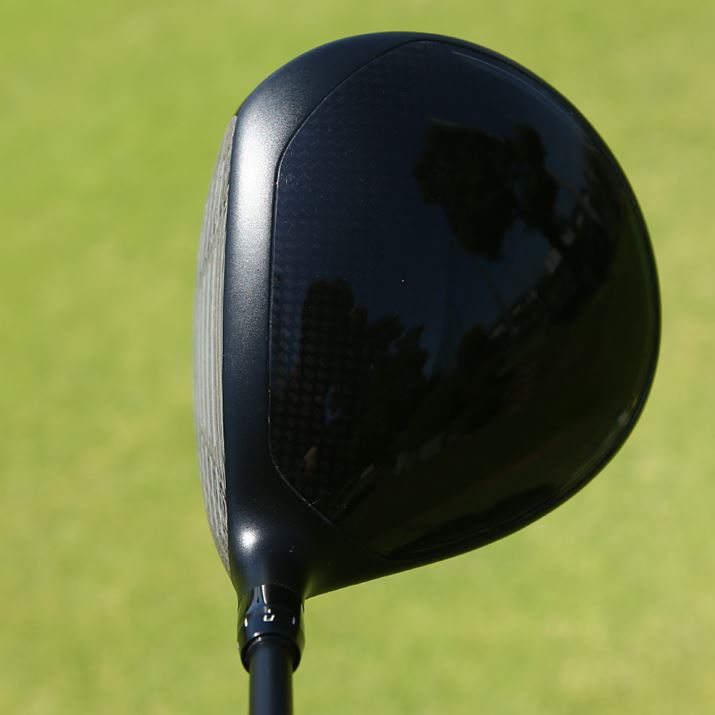 q[ɏ{[A܂肻Ȉۂ^tH