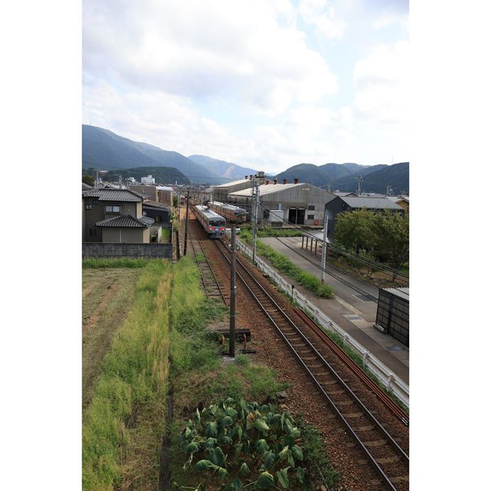 EOS R6 Mark IIARF24mm F1.8 MACRO IS STMA}jAAF5.6A1/2500bAISO800AzCgoXFAsN`[X^CFi