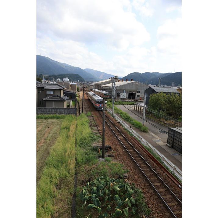 EOS R6 Mark IIARF24mm F1.8 MACRO IS STMA}jAAF5.6A1/2500bAISO800AzCgoXFAsN`[X^CFi