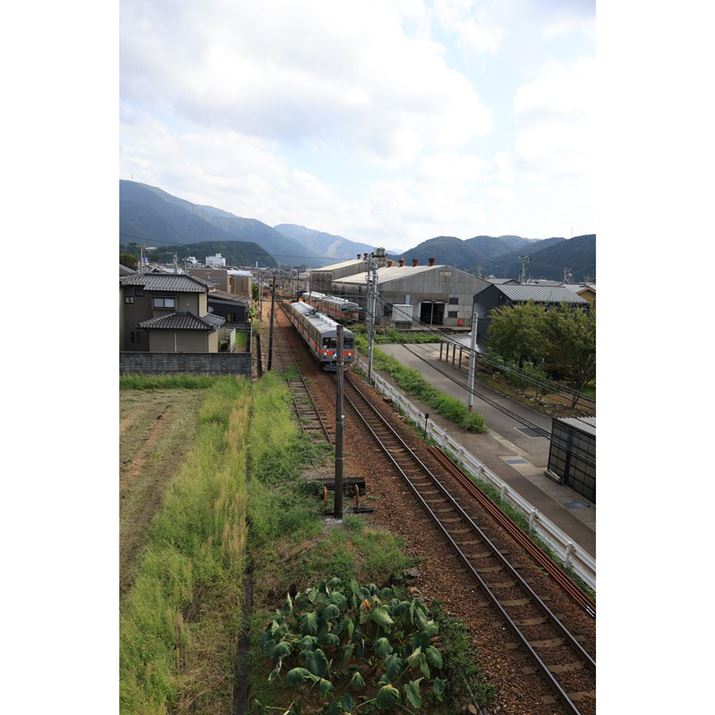 EOS R6 Mark IIARF24mm F1.8 MACRO IS STMA}jAAF5.6A1/2500bAISO800AzCgoXFAsN`[X^CFi