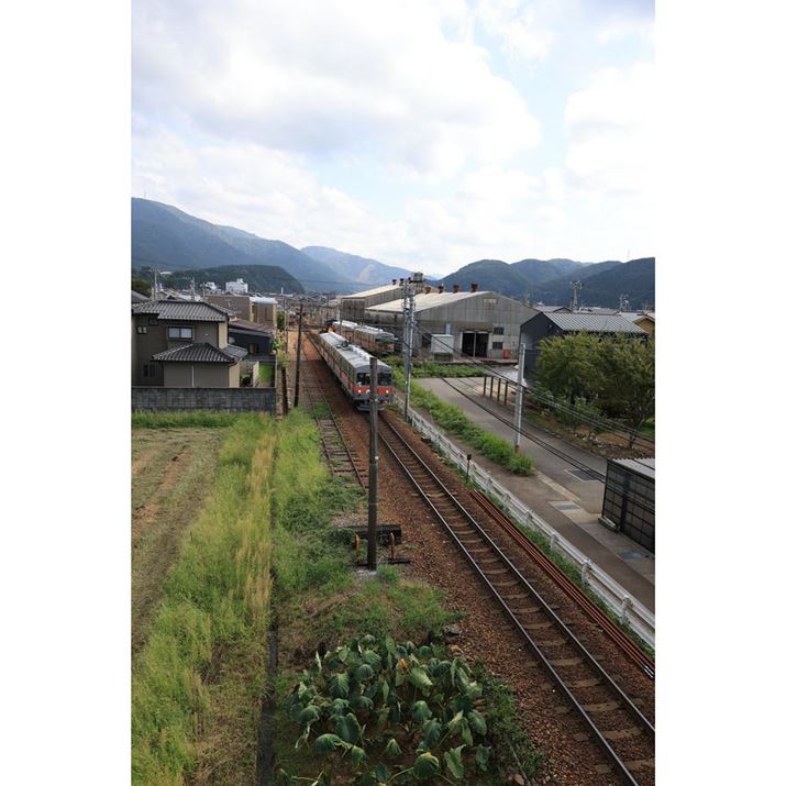 EOS R6 Mark IIARF24mm F1.8 MACRO IS STMA}jAAF5.6A1/2500bAISO800AzCgoXFAsN`[X^CFi