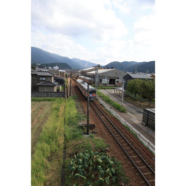 EOS R6 Mark IIARF24mm F1.8 MACRO IS STMA}jAAF5.6A1/2500bAISO800AzCgoXFAsN`[X^CFi