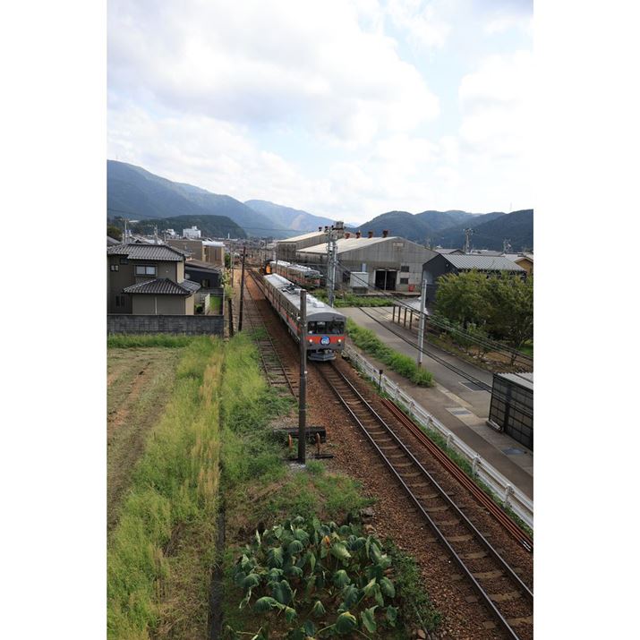 EOS R6 Mark IIARF24mm F1.8 MACRO IS STMA}jAAF5.6A1/2500bAISO800AzCgoXFAsN`[X^CFi