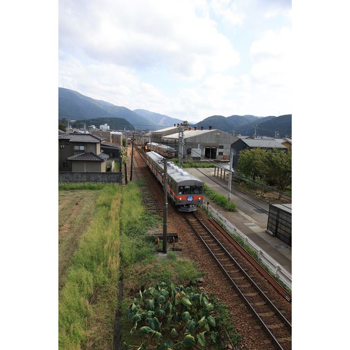 EOS R6 Mark IIARF24mm F1.8 MACRO IS STMA}jAAF5.6A1/2500bAISO800AzCgoXFAsN`[X^CFi