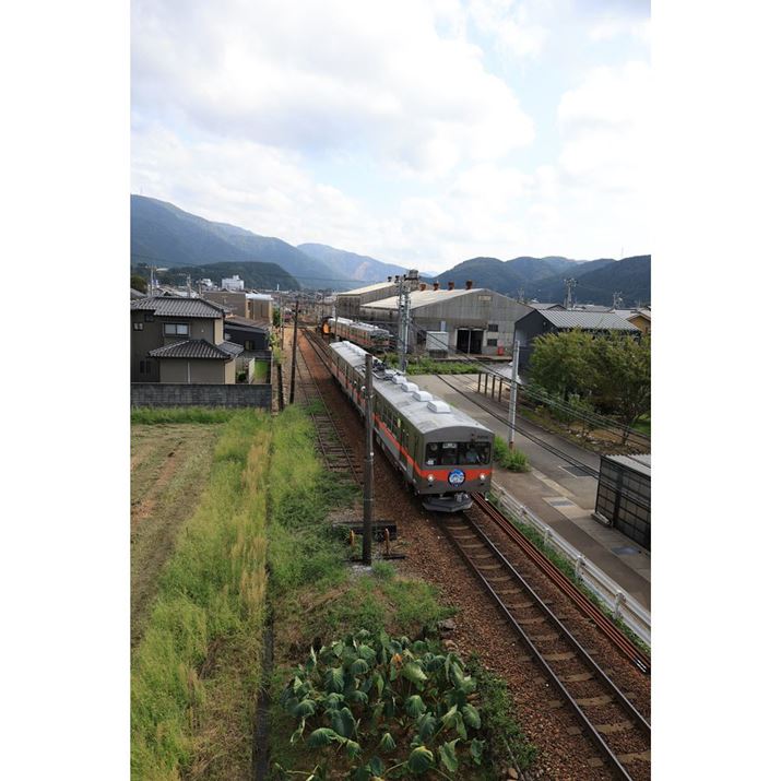 EOS R6 Mark IIARF24mm F1.8 MACRO IS STMA}jAAF5.6A1/2500bAISO800AzCgoXFAsN`[X^CFi