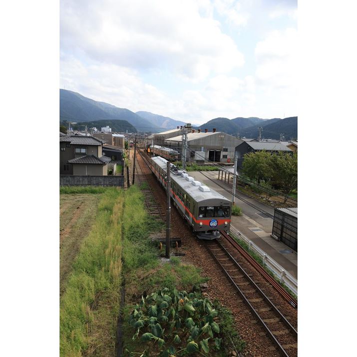 EOS R6 Mark IIARF24mm F1.8 MACRO IS STMA}jAAF5.6A1/2500bAISO800AzCgoXFAsN`[X^CFi