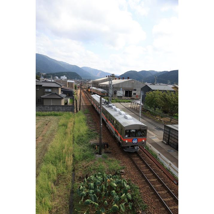 EOS R6 Mark IIARF24mm F1.8 MACRO IS STMA}jAAF5.6A1/2500bAISO800AzCgoXFAsN`[X^CFi