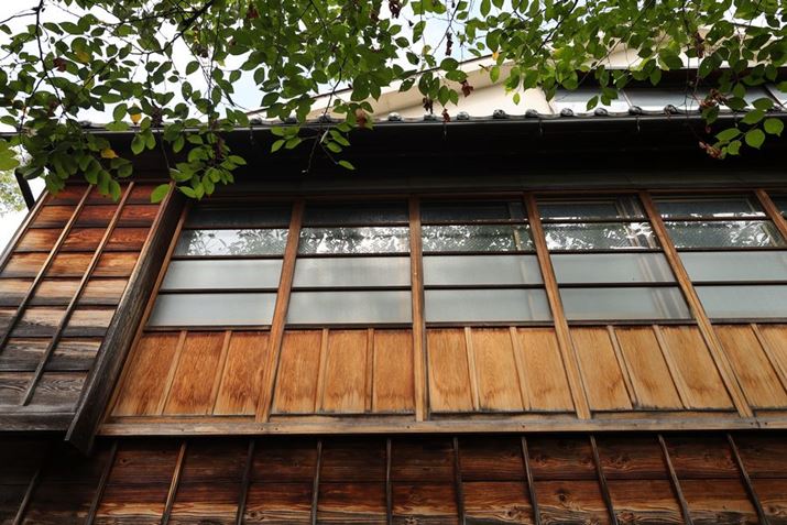 EOS R6 Mark IIARF24mm F1.8 MACRO IS STMAiDAEAF5A1/400bAISO400A+0.3EVAzCgoXFAsN`[X^CFfBe[dBeʐ^i6000×4000A11.1MBj