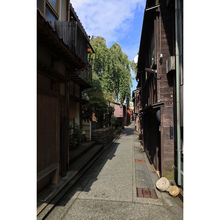 EOS R6 Mark IIARF24mm F1.8 MACRO IS STMAiDAEAF8A1/200bAISO100AzCgoXFI[gi͋CDjAsN`[X^CFiADPP4ŌBeʐ^i4000×6000A19.1MBj