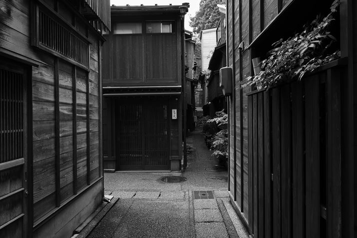 EOS R6 Mark IIARF24mm F1.8 MACRO IS STMAVb^[DAEAF16A1/6bAISO125A-0.7EVAzCgoXFAsN`[X^CFmNADPP4ŌBeʐ^i6000×4000A10.6MBj