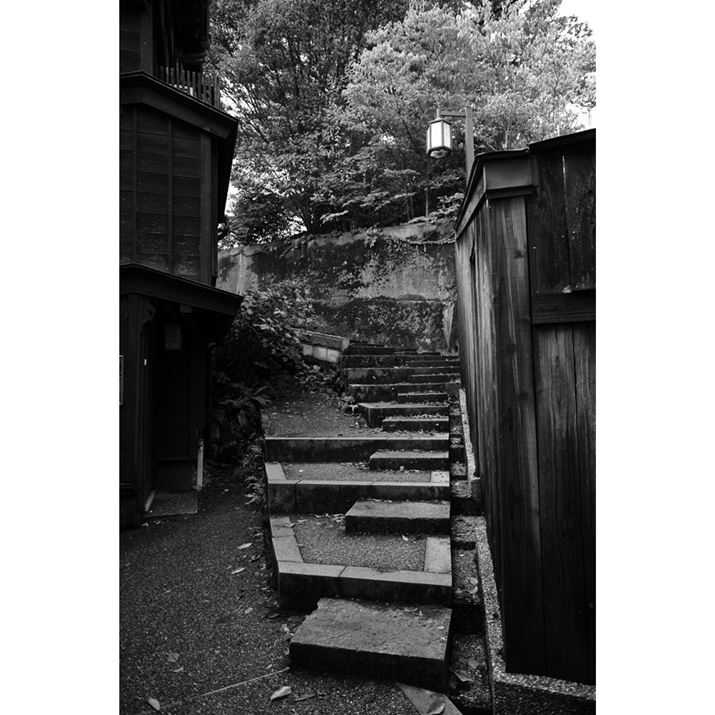 ͈ÂBΊKĩfBe[mNŁBł܂Ȃ̂ł̖OtłEOS R6 Mark IIARF24mm F1.8 MACRO IS STMAiDAEAF2.8A1/1600bAISO800A-0.3EVAzCgoXFAsN`[X^CFmNADPP4ŌBeʐ^i4000×6000A13.1MBj