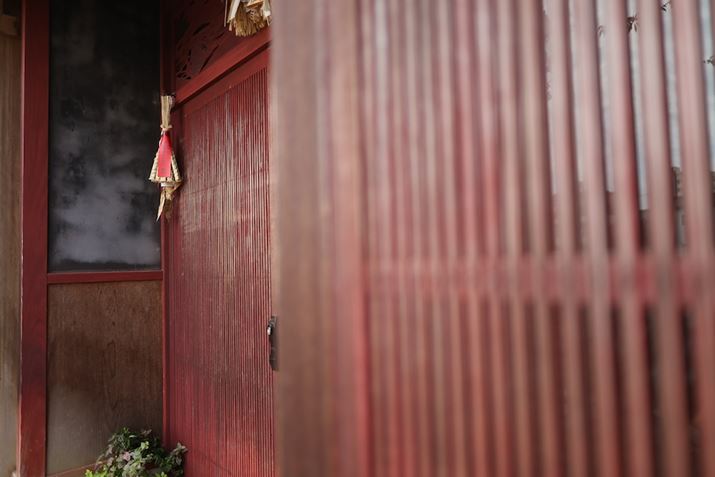 ʉɃsg킹AO̍ɂƊȂ_ȑO{P܂B邢LpEPœ_Ył\łEOS R6 Mark IIARF24mm F1.8 MACRO IS STMAiDAEAF1.8A1/1000bAISO400A-0.3EVAzCgoXFAsN`[X^CFfBe[dBeʐ^i6000×4000A7.0MBj