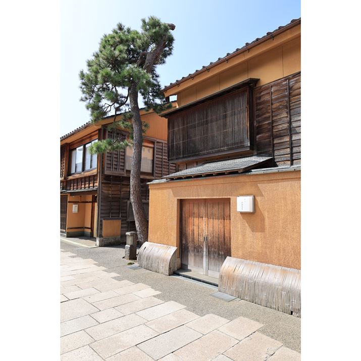 ɂXBꂢɐĂĕ₷łBsXn痣Ă܂ArōҐnAkŎU􂵂肵Ȃ̂߂łEOS R6 Mark IIARF24mm F1.8 MACRO IS STMAvOAEAF5.6A1/250bAISO100AzCgoXFzAsN`[X^CFiBeʐ^i4000×6000A14.5MBj