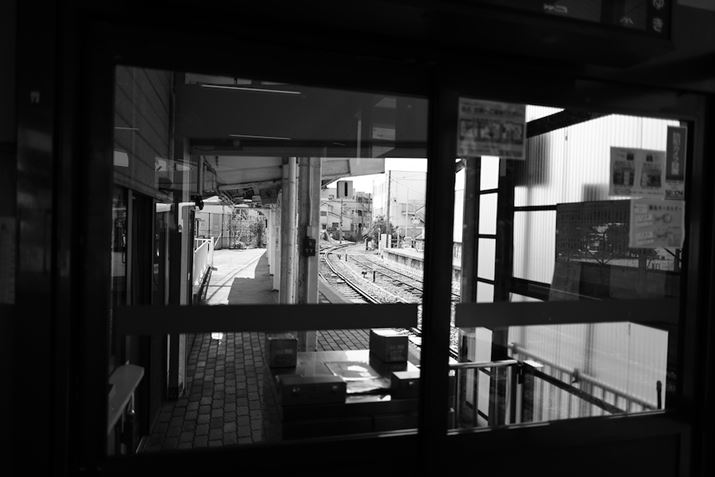 EOS R6 Mark IIARF24mm F1.8 MACRO IS STMAiDAEAF2A1/1250bAISO100AzCgoXFzAsN`[X^CFmNBeʐ^i6000×4000A3.8MBj