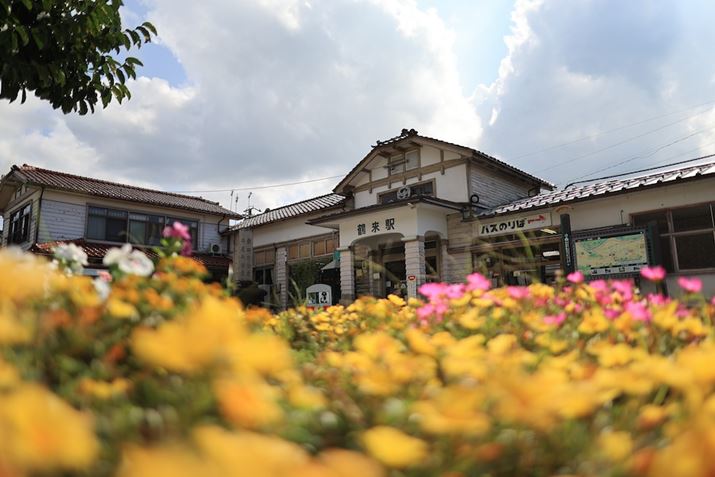 I_̒ߗwɓI wỎԒdꂢ̂ŁAO{PɓĂ݂܂EOS R6 Mark IIARF24mm F1.8 MACRO IS STMAiDAEAF1.8A1/6400bAISO100A+0.7EVAzCgoXFAsN`[X^CFiBeʐ^i6000×4000A6.0MBj