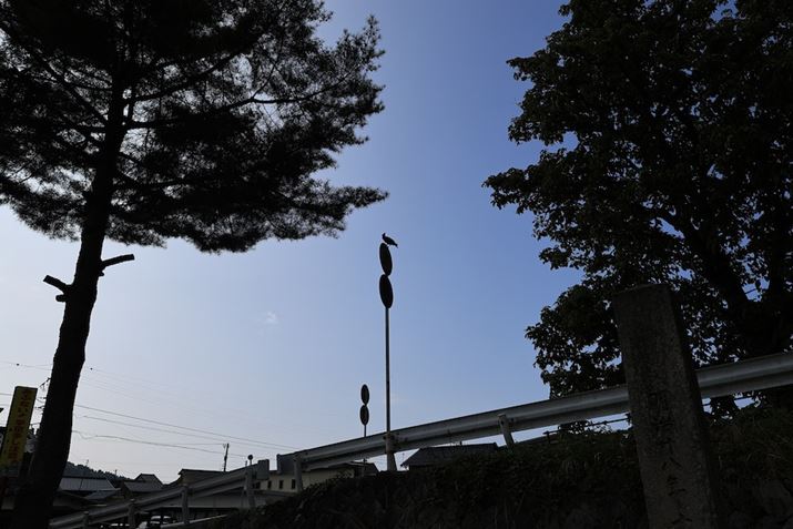 EOS R6 Mark IIARF24mm F1.8 MACRO IS STMAiDAEAF6.3A1/1250bAISO100AzCgoXFAsN`[X^CFiBeʐ^i6000×4000A7.7MBj