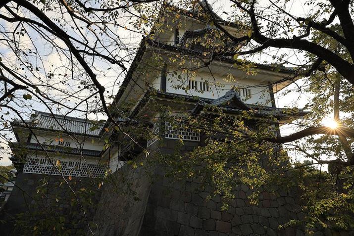 EOS R6 Mark IIARF24mm F1.8 MACRO IS STMAiDAEAF8A1/160bAISO100A-0.3EVAzCgoXFAAsN`[X^CFiBeʐ^i6000×4000A13.1MBj