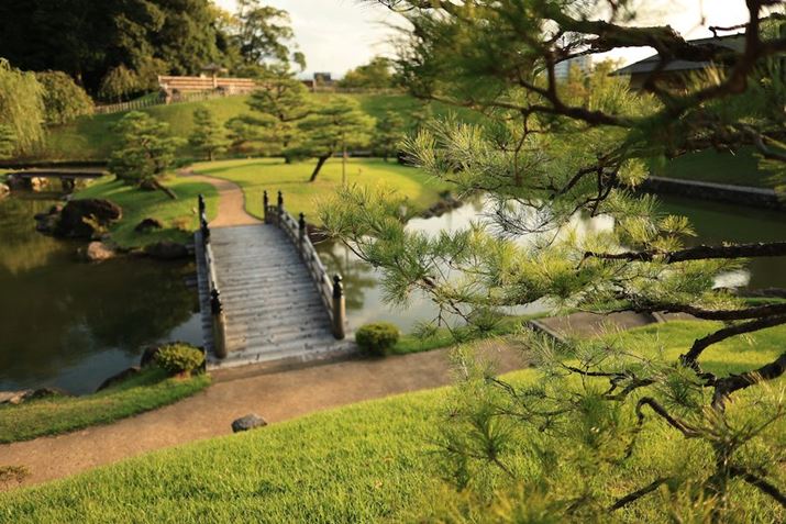 EOS R6 Mark IIARF24mm F1.8 MACRO IS STMAiDAEAF1.8A1/1000bAISO100A-0.3EVAzCgoXFAAsN`[X^CFiBeʐ^i6000×4000A10.6MBj