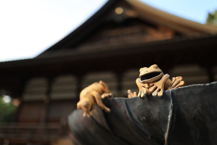 EOS R6 Mark IIARF24mm F1.8 MACRO IS STMAiDAEAF1.8A1/1250bAISO400A-0.7EVAzCgoXFAAsN`[X^CFiBeʐ^i6000×4000A4.5MBj