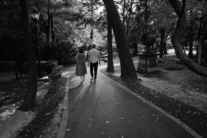 EOS R6 Mark IIARF24mm F1.8 MACRO IS STMAiDAEAF1.8A1/500bAISO400A-0.7EVAzCgoXFAAsN`[X^CFmN