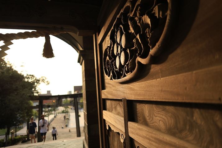 EOS R6 Mark IIARF24mm F1.8 MACRO IS STMAiDAEAF1.8A1/640bAISO100A-0.7EVAzCgoXFAAsN`[X^CFiBeʐ^i6000×4000A5.3MBj