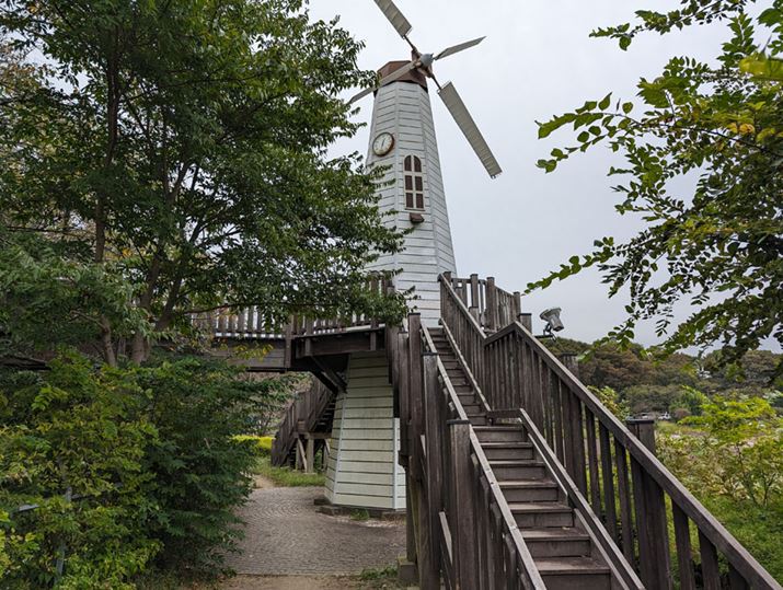 uPixel 8vijAuPixel 8 Provij