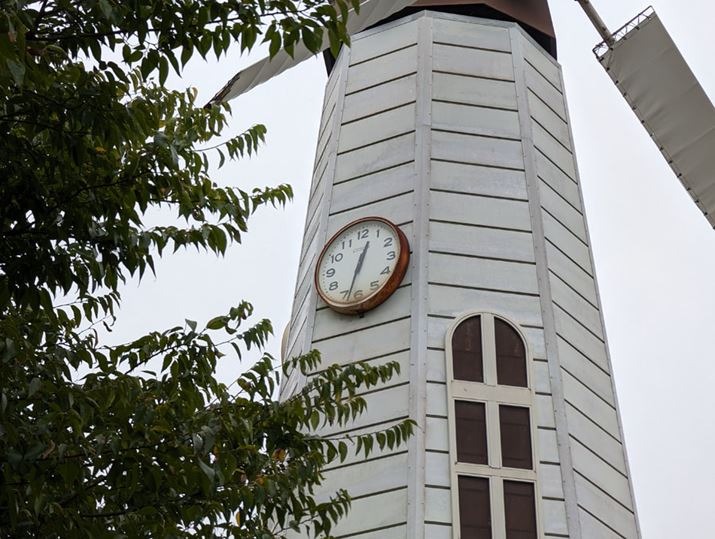 uPixel 8 ProvŎBei]JAwY[5{j