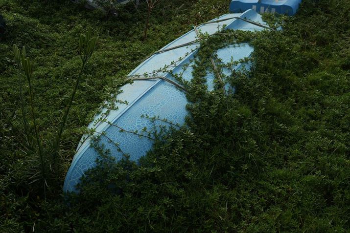 7C IIAFE 40mm F2.5 GA40mmAISO100AF5.6A1/800bAzCgoXFI[gANGCeBubNFSTBeʐ^i7008×4672A27.9MBj