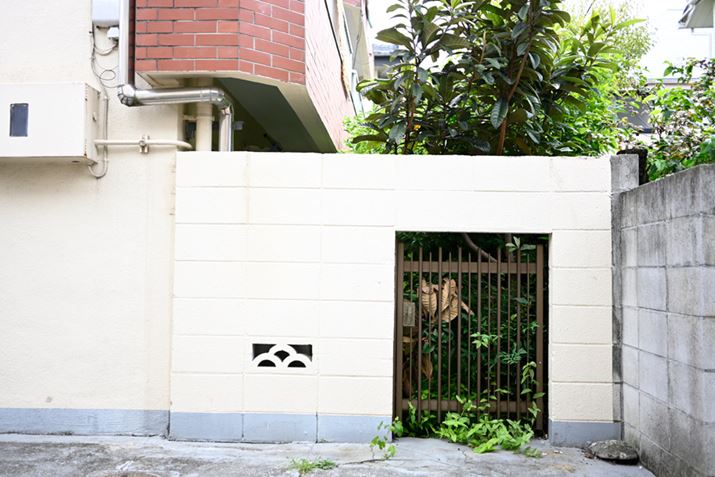 猩}ṼubN⏬ȏoǂƂȂaȕ͋CZ fcANIKKOR Z DX 24mm f/1.7AF1.7A1/400bAISO100A+2.3EVAzCgoXFI[gAsN`[Rg[FX^_[h