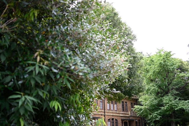 Z fcANIKKOR Z DX 24mm f/1.7AF1.7A1/320bAISO100A+0.3EVAzCgoXFI[gAsN`[Rg[FX^_[hBeʐ^i5568×3712A9.6MBj