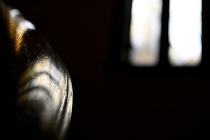 Z fcANIKKOR Z DX 24mm f/1.7AF1.7A1/400bAISO100AzCgoXFI[gAsN`[Rg[FX^_[hBeʐ^i5568×3712A4.9MBj