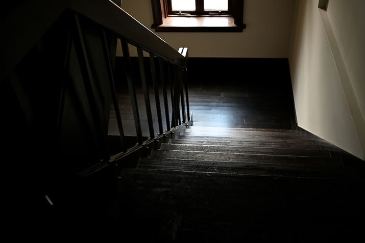 Z fcANIKKOR Z DX 24mm f/1.7AF1.7A1/60bA-1.0EVAISO100AzCgoXFI[gAsN`[Rg[FX^_[hBeʐ^i5568×3712A5.7MBj