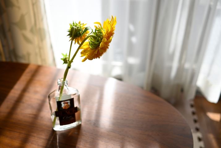 Z fcANIKKOR Z DX 24mm f/1.7AF1.7A1/640bA+2AISO100AzCgoXFI[gAsN`[Rg[FX^_[hBeʐ^i5568×3712A6.0MBj