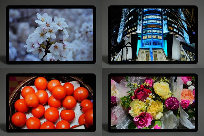 F̃Of[V͔Ɋ炩ŁA܂Ă܂BX}zŎBʐ^uGalaxy Tab S9vŌƁAꂻł