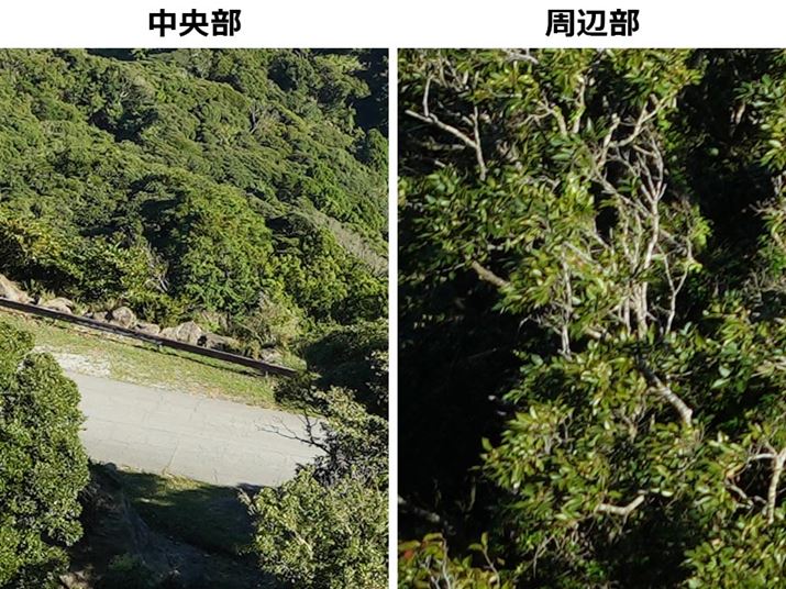 ͒AE͎ӕ𓙔{Ő؂oĂ܂