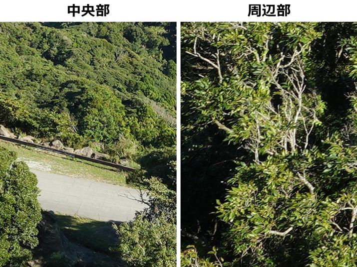 ͒AE͎ӕ𓙔{Ő؂oĂ܂