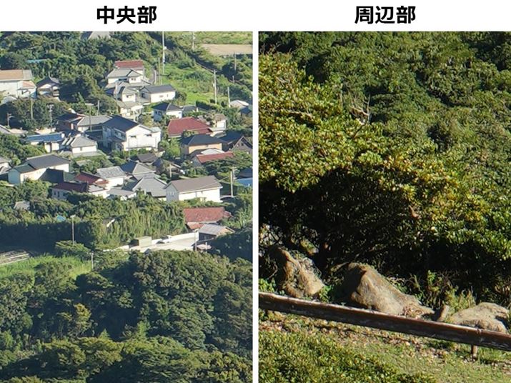 ͒AE͎ӕ𓙔{Ő؂oĂ܂