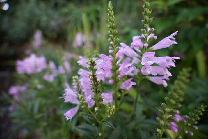 7 IVA17-50mm F/4 Di III VXDA17mmAF4.0A1/30bAISO100AzCgoXFI[gANGCeBubNFSTBeʐ^i7008×4672A17.6MBj