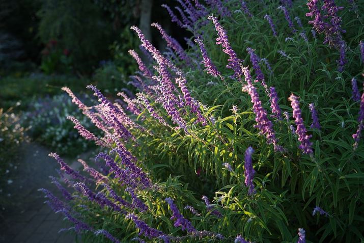 7 IVA17-50mm F/4 Di III VXDA34mmAF4.0A1/80bAISO100AzCgoXFI[gANGCeBubNFSTBeʐ^i7008×4672A21.8MBj