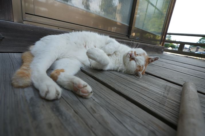 7 IVA17-50mm F/4 Di III VXDA19mmAF5.6A1/30bAISO100AzCgoXFI[gANGCeBubNFSTBeʐ^i7008×4672A16.8MBj