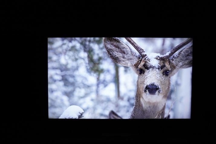 4K/HDRfŁuC845vV[Ỷ掿`FbNB邢F̒łĂ˂ɐFKČ