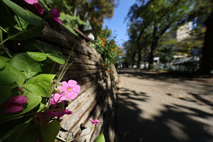 EOS R5ARF10-20mm F4 L IS STMA10mmAF4A1/640bAISO100A-1.0EVAzCgoXFI[gi͋CDjAsN`[X^CFX^_[hAI[gCeBOIveB}CUFWAӌʕ␳FAfW^YIveB}CUFiWjAJPEGBeʐ^i8192×5464A10.0MBj