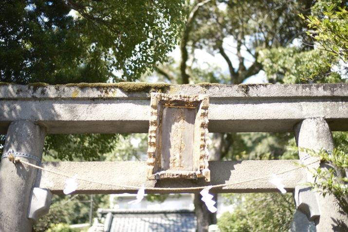 X-S20ANOKTON 35mm F0.9 AsphericalAF0.9A1/4000bAISO160AzCgoXFI[gAtBV~[VFmX^WbNlKBeʐ^i6240×4160A13.7MBj