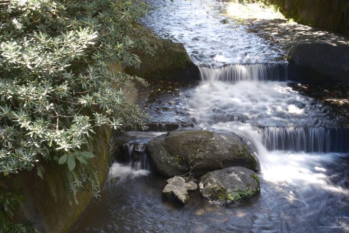 X-S20ANOKTON 35mm F0.9 AsphericalAF22A0.5bAISO200AzCgoXFI[gAtBV~[VFmX^WbNlKBeʐ^i6240×4160A13.0MBj