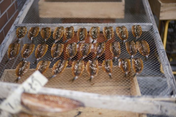 X̂ŔȊɑ<br>X-S20ANOKTON 35mm F0.9 AsphericalAF0.9A1/1100bAISO160AzCgoXFI[gAtBV~[VFmX^WbNlKBeʐ^i6240×4160A11.4MBj