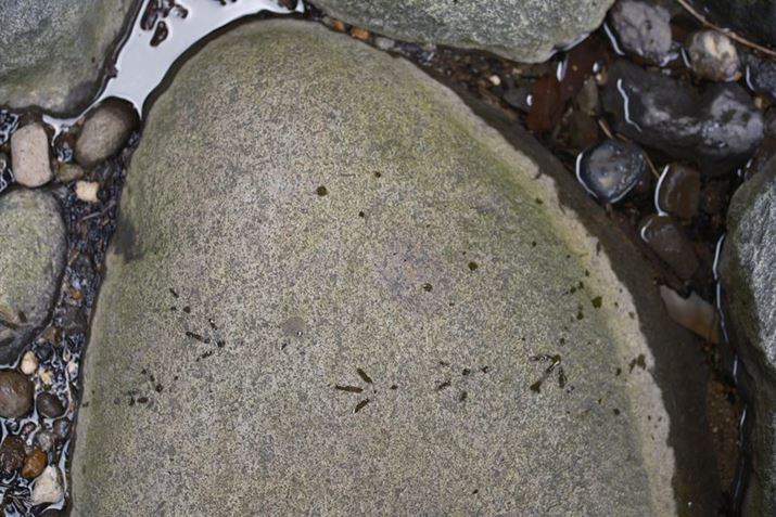 N̑ՂX-S20ANOKTON 35mm F0.9 AsphericalAF2.0A1/210bAISO160A-0.3EVAzCgoXFI[gAtBV~[VFmX^WbNlKBeʐ^i6240×4160A13.9MBj