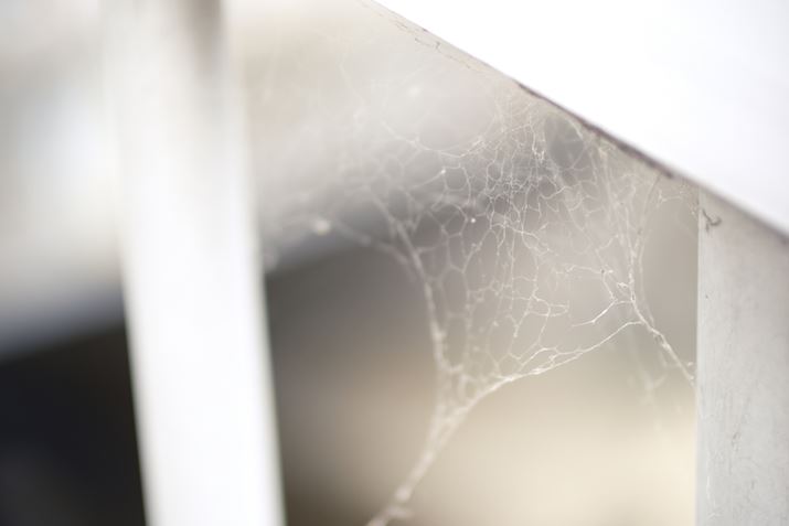 X-S20ANOKTON 35mm F0.9 AsphericalAF0.9A1/640bAISO160A+1.3EVAzCgoXFI[gAtBV~[VFmX^WbNlKBeʐ^i6240×4160A8.3MBj