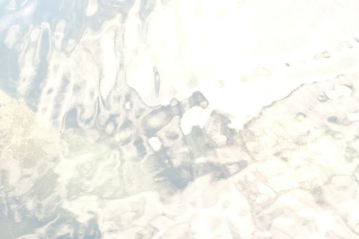 X-S20ANOKTON 35mm F0.9 AsphericalAF4.0A1/105bAISO1000A+2.3EVAzCgoXFI[gAtBV~[VFmX^WbNlKBeʐ^i6240×4160A8.1MBj