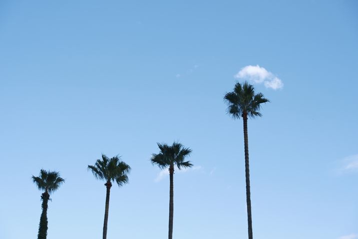 X-S20ANOKTON 35mm F0.9 AsphericalAF2.8A1/1100bA+1.3EVAISO160AzCgoXFI[gAtBV~[VFmX^WbNlKBeʐ^i6240×4160A8.7MBj